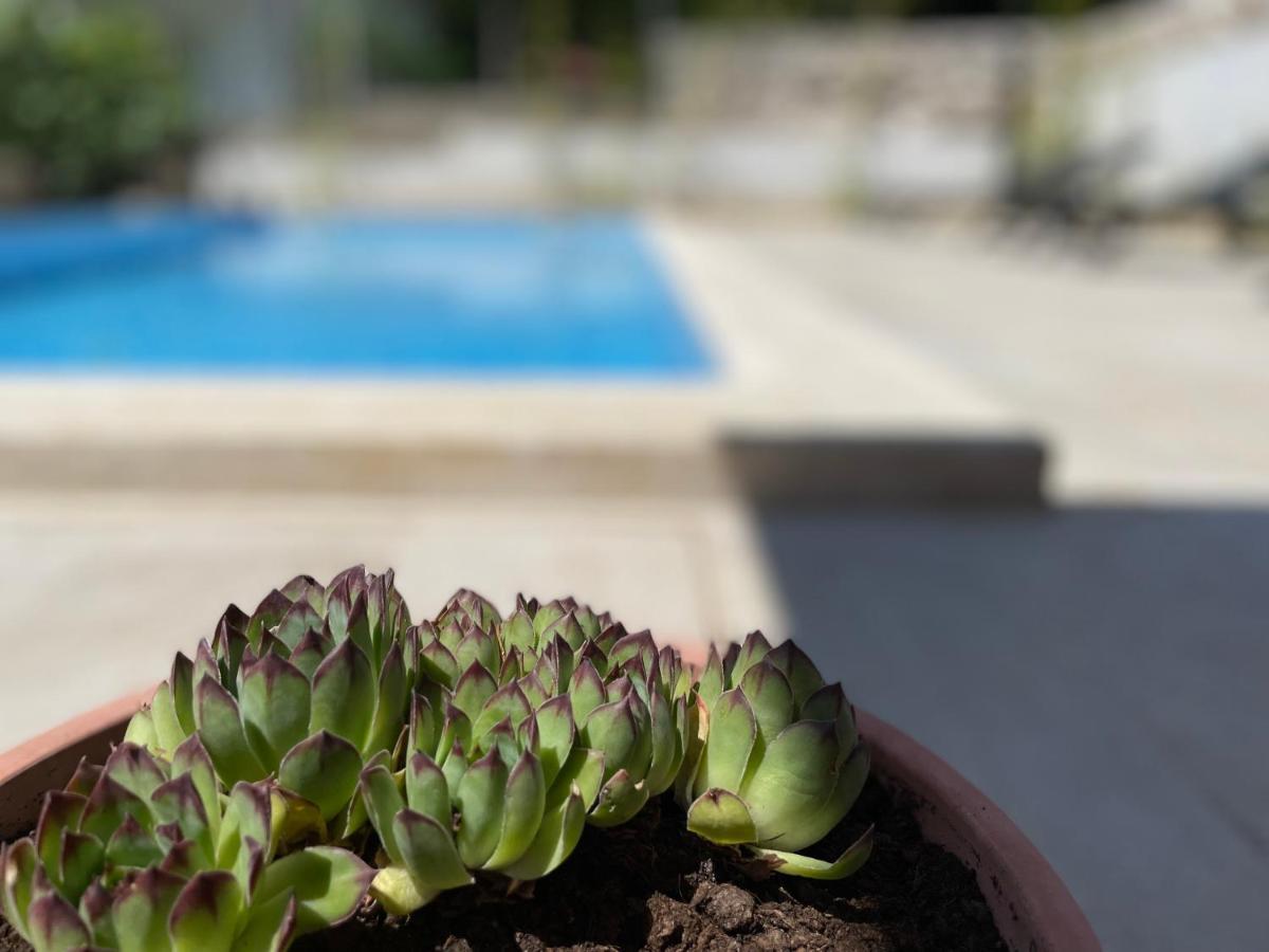 דראמליי Apartments Maja מראה חיצוני תמונה